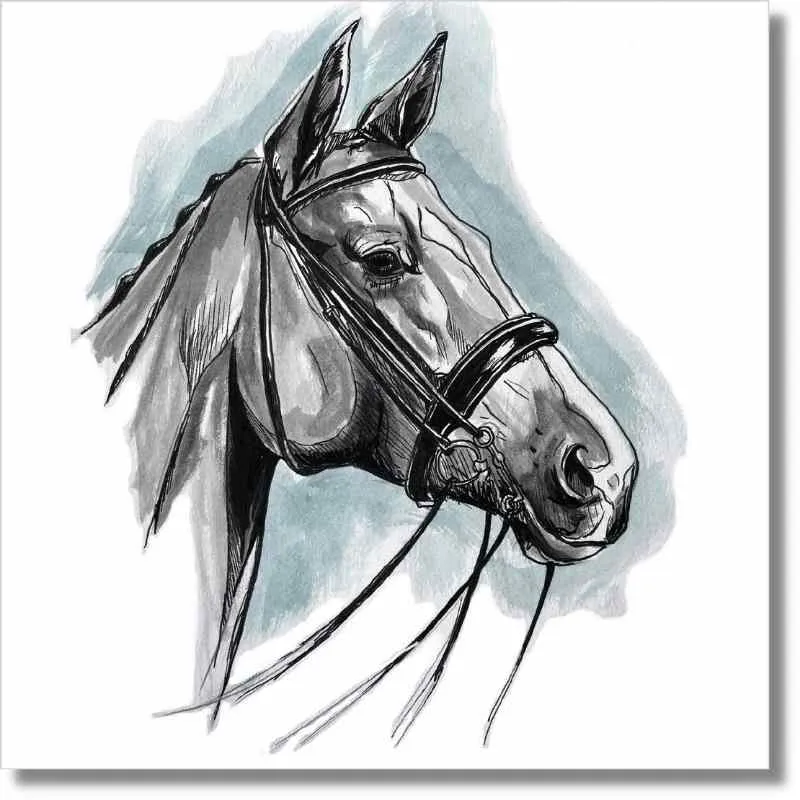 Gubblecote Greetings Card Dressage Horse in Watercolour